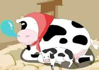 奶牛养殖培训动画